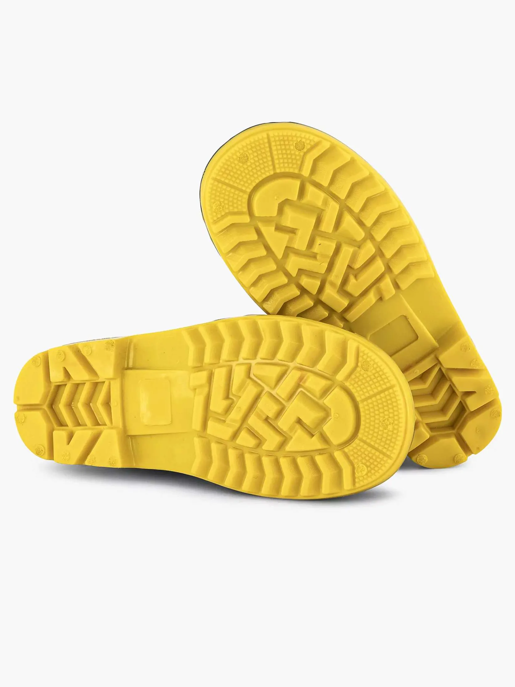 Zwarte Regenlaars Pokemon